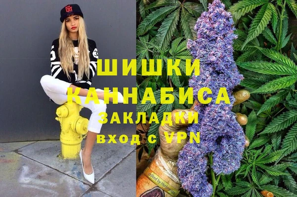 бошки Вяземский