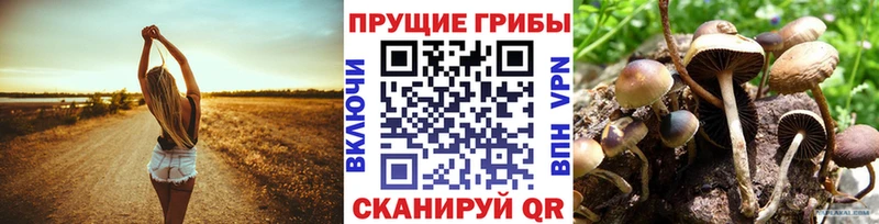 Псилоцибиновые грибы ЛСД  Купить закладки  Малмыж 